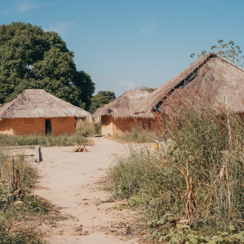 Gallery Mozambique 6